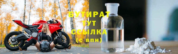 крисы Новозыбков