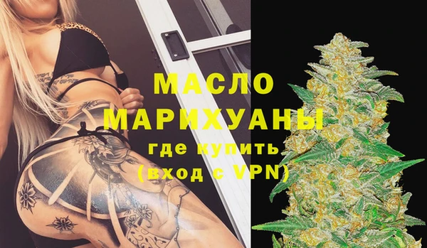 крисы Новозыбков