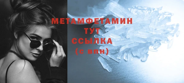 крисы Новозыбков