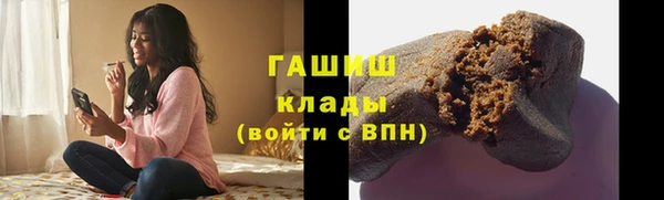 крисы Новозыбков