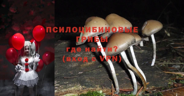 MESCALINE Няндома