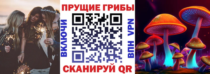 Псилоцибиновые грибы GOLDEN TEACHER  где купить наркотик  Морозовск 